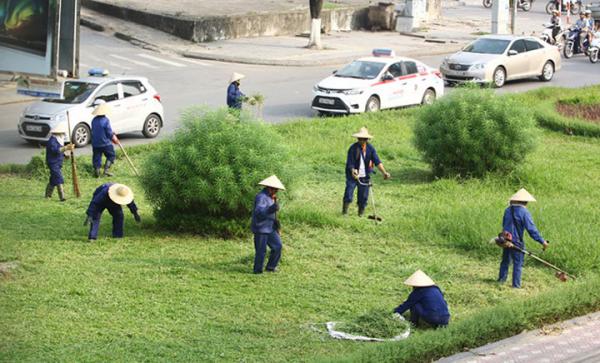trồng cây xanh hòa thành 