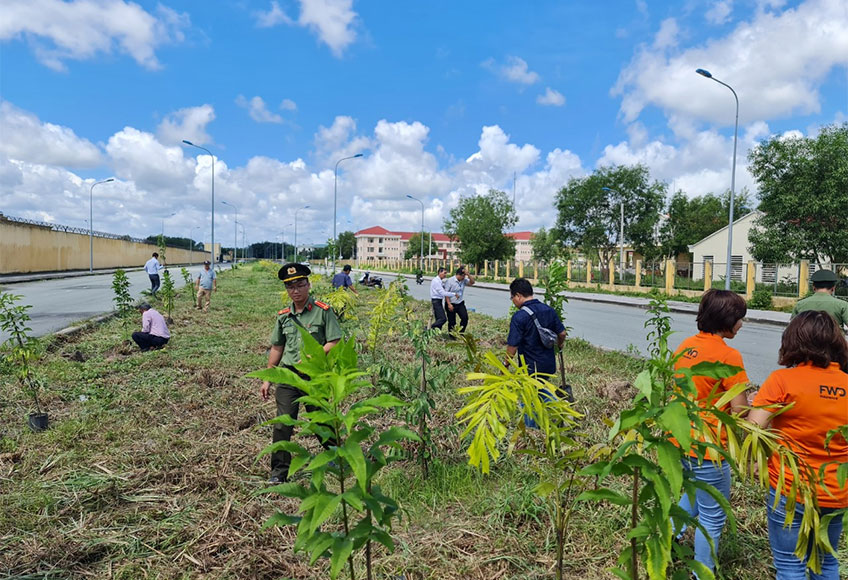 Trống cây xanh tại Bến Cầu