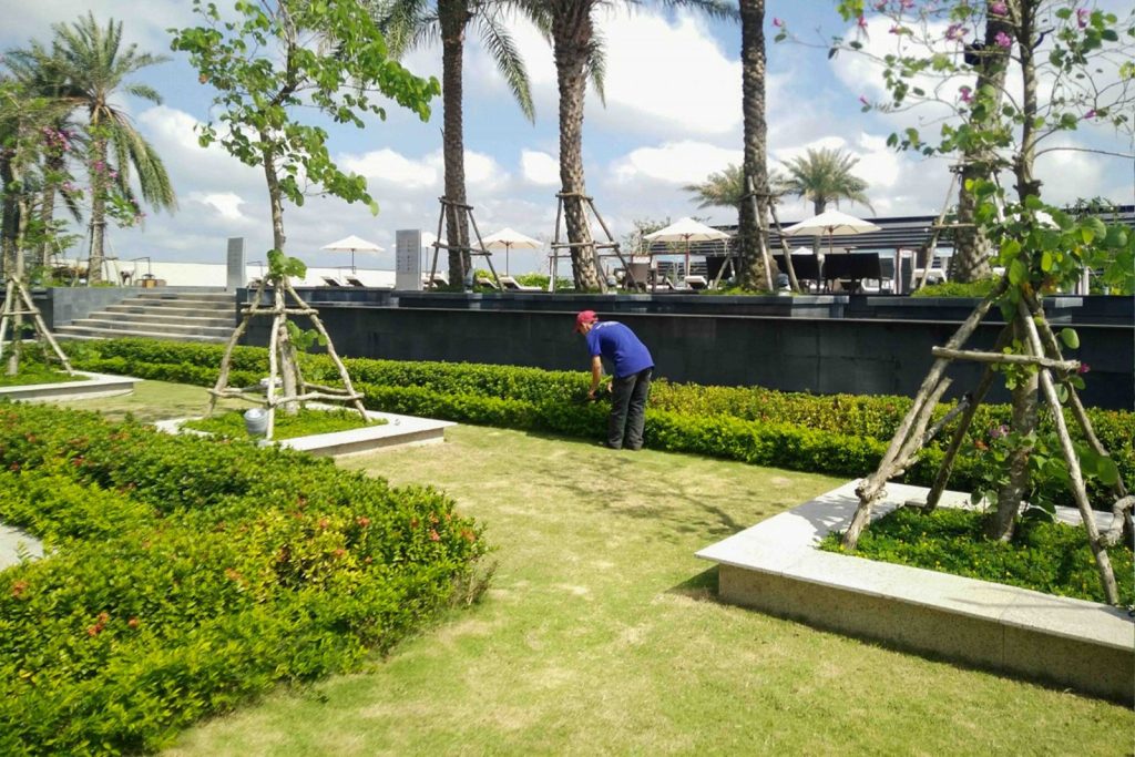 Trồng cây xanh tại Tân Biên