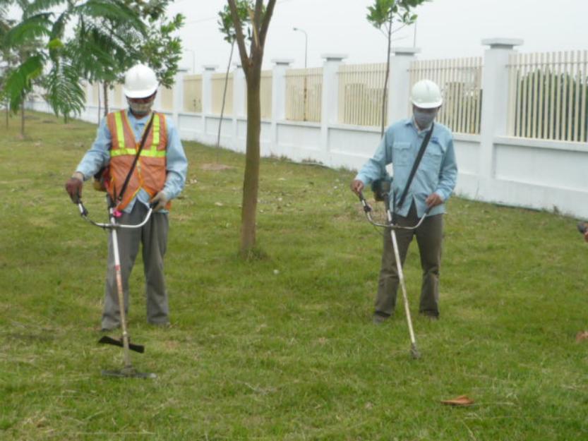 Dịch vụ cắt cỏ tại Châu Thành – Nhanh chóng, chuyên nghiệp, giá tốt