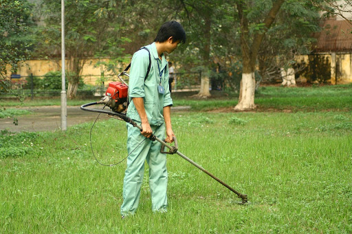 Dịch vụ cắt cỏ tại Châu Thành 2025