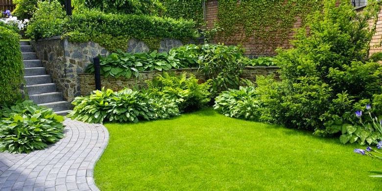 Quy trình trồng cỏ tại Dương Minh Châu chuẩn kỹ thuật