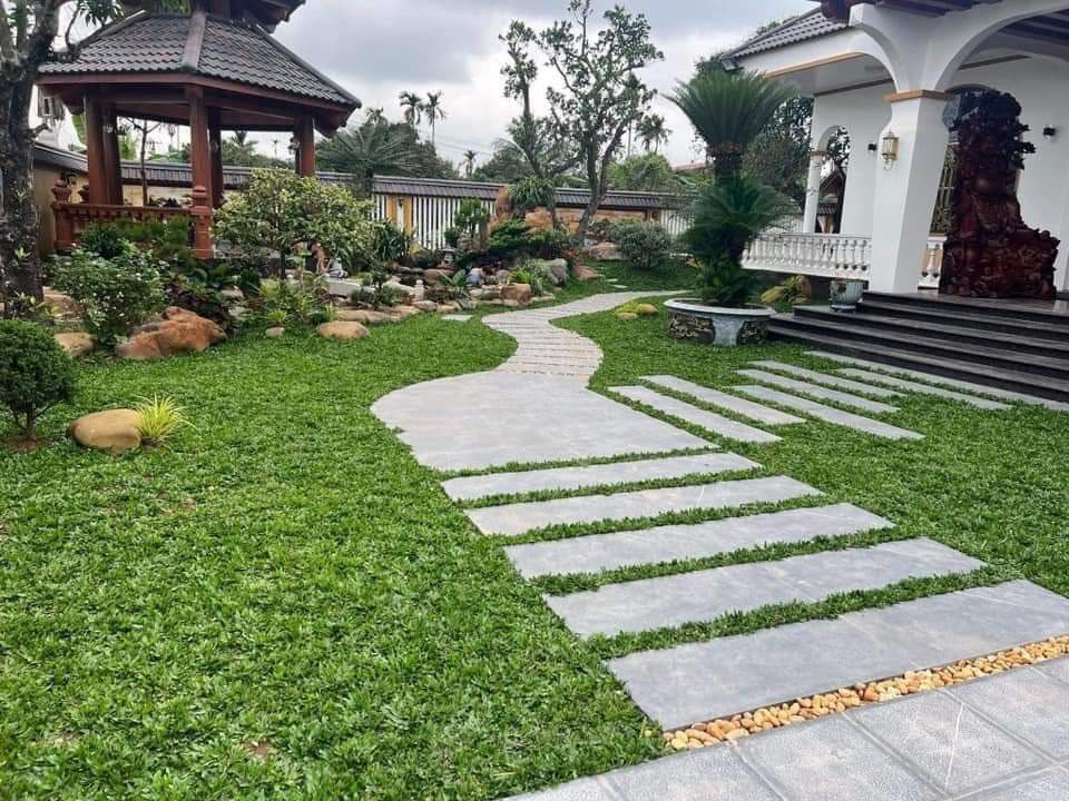 An Khang Group làm đối tác trồng cỏ uy tín - chất lượng tại Dương Minh Châu
