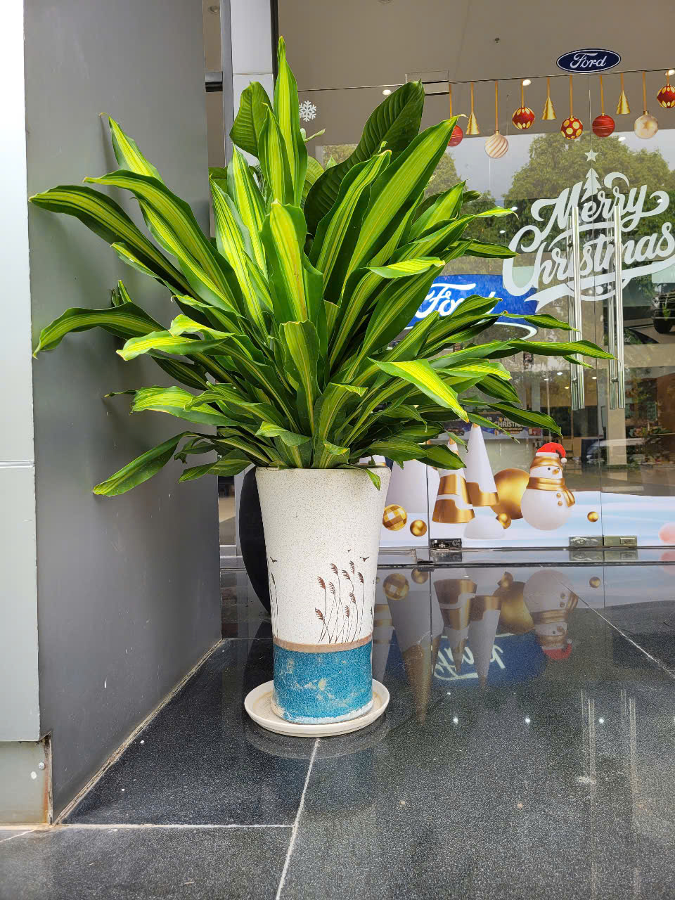 Bảng giá chăm sóc cây xanh công trình Bình Dương