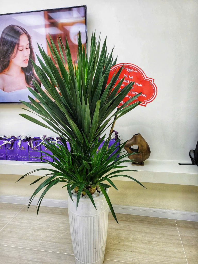 Kỹ thuật chăm sóc cây xanh đô thị