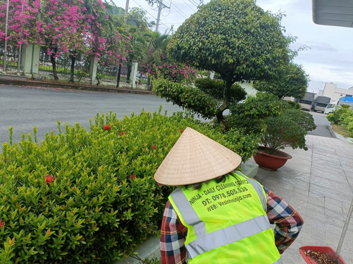 Chăm sóc cây xanh gắn với ESG