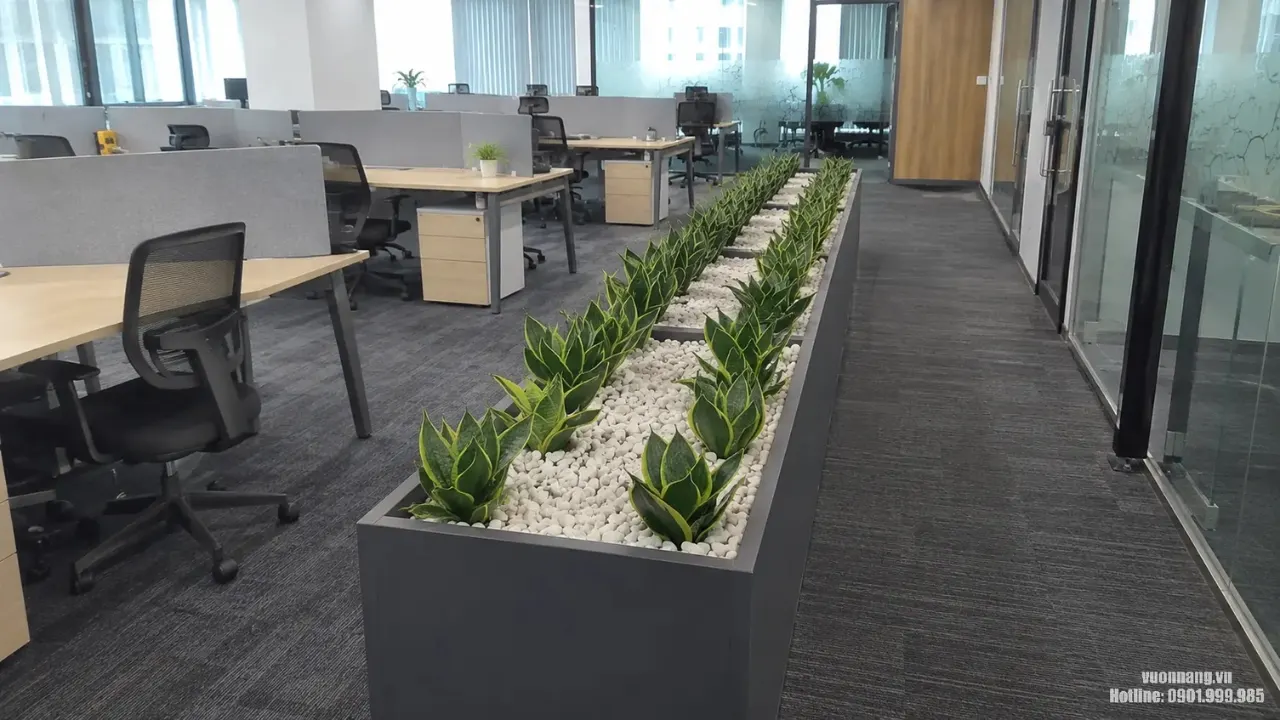 Cho thuê cây văn phòng tại KCN Mapletree